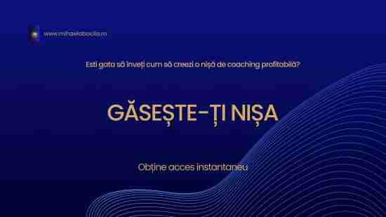 Curs Gaseste-ti Nisa