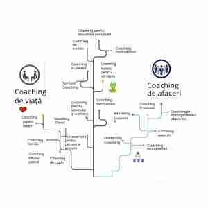 Vrei să găsești cea mai profitabilă nișă de coaching?