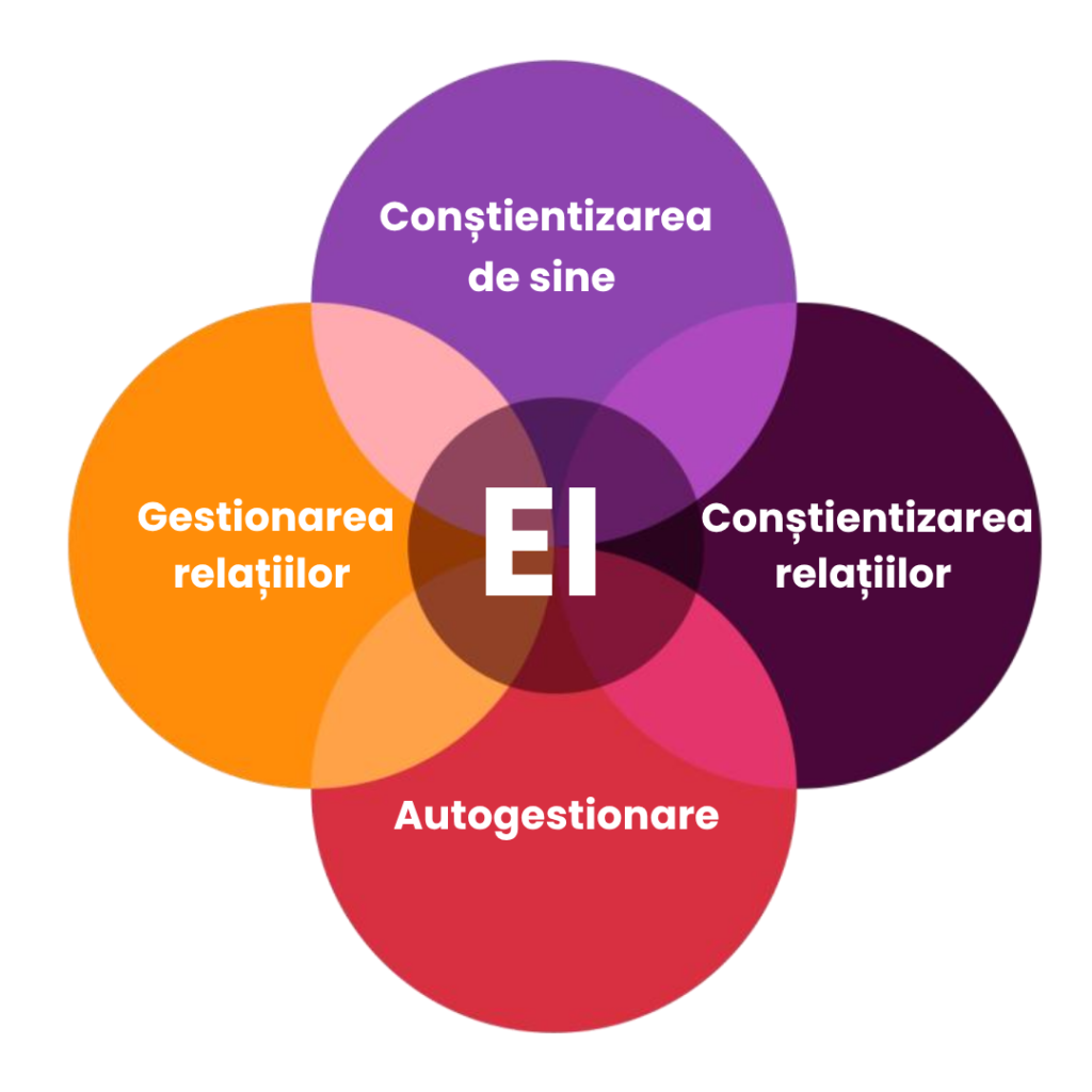 Evaluare Inteligență Emoțională (EIQ) 3